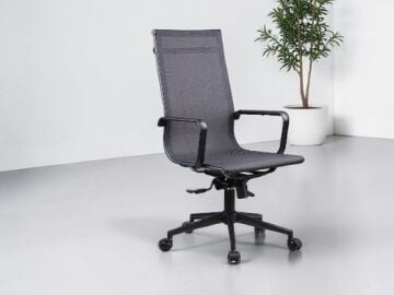 Bety Fileli Yönetici Koltuğu