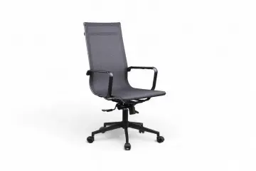 Bety Fileli Yönetici Koltuğu