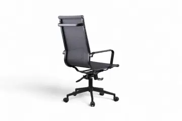 Bety Fileli Yönetici Koltuğu