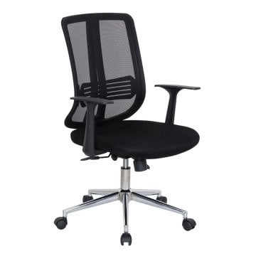 Minotti