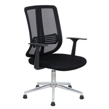 Minotti
