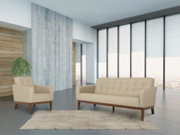 Zengibar Ofis Kanepesi